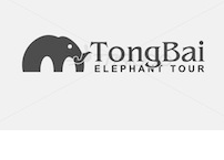 Tong Bai Elephant Tour