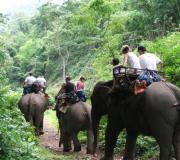 TTMT07 - Trekking in Chiang Dao Thailand
