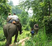 TTTK02 - Elephant Trekking Tour in Northern Thailand