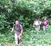 TTTK02 - Hilltribe Trekking Tour in Chiang Dao Chiang Mai