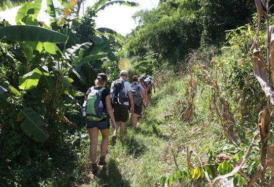 TT18 - Trekking in Chiang Mai and Northern Thailand