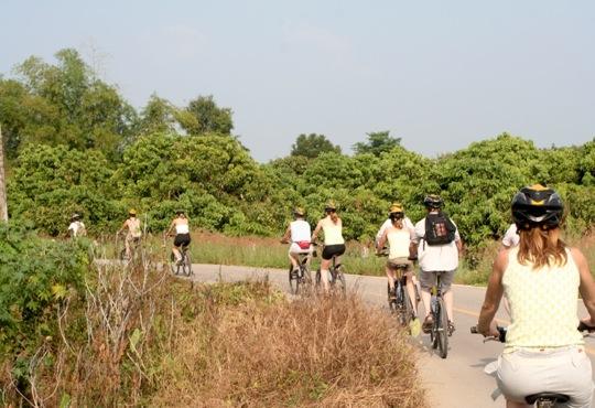 TT42 - Bicycle Tour in Chiang Mai and Doi Suthep